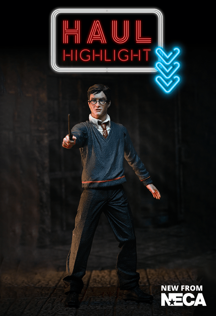 Harry Potter - Legacy Collection Voldermort, Severus Snape, Harry Potter, and Albus Dumbledore 7" Scale Action Figures - NECA on Haulathon.com